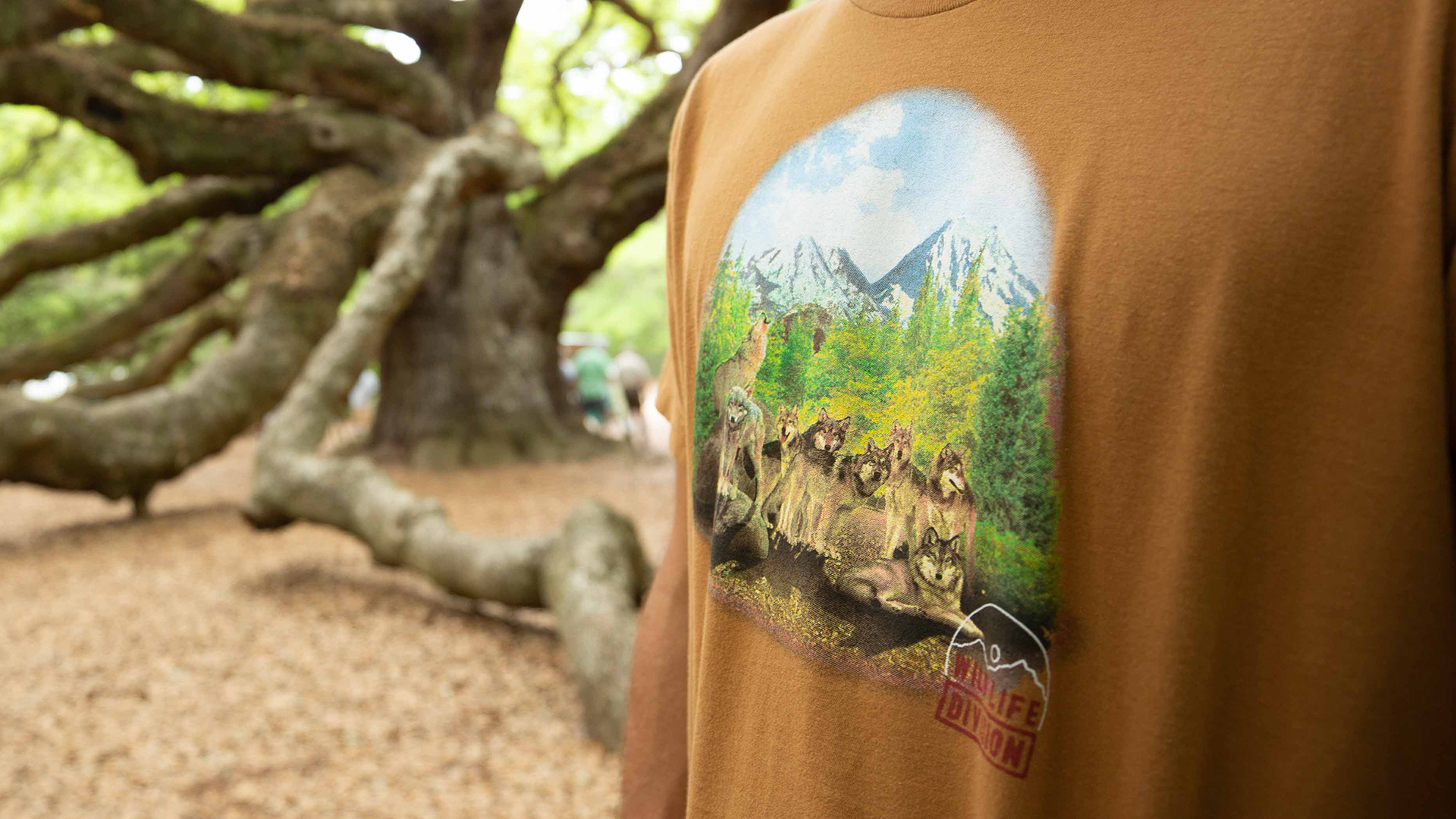 KAVU-SS20-Mens_0002_TSHIRT-PACK-2 KAVU-SS20-Mens_0002_TSHIRT-PACK-2