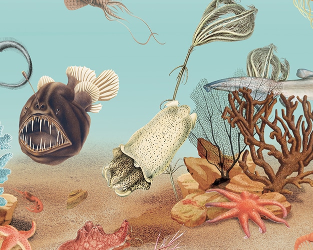 HomepageTiles_KAVU_VintageDeepSea